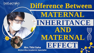 Difference Between Maternal Inheritance & Maternal Effect