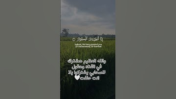 سوره الكوثر للقارئ اسلام صبحي #توصيل_القناه_500_مشترك