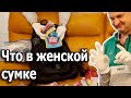 Что у японки в сумке? Канами разрешила показать— Видео о Японии от Пан Гайджин