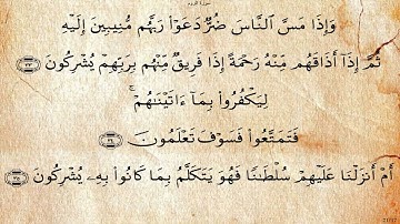 سورة الروم بصوت علي بن عبد الرحمن الحذيفي