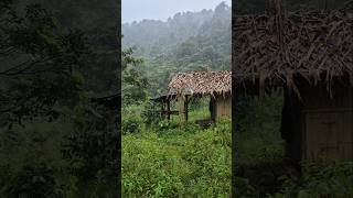 Beautiful panorama when it rains #nature #lifeisbutadream #rain