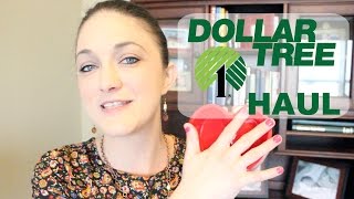Dollar Tree Haul (January 2015)
