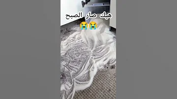 شوفوا ولادي التوام شو كبوا ع الارض رحلة تنظيف من الصبح 