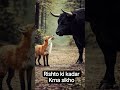 Rishto ki kadar Krna sikho.        #trending #viral #rishte #bhai#bhaichara #viralnow