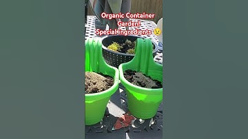How to Doctor Up Your SOIL Organically! #container
