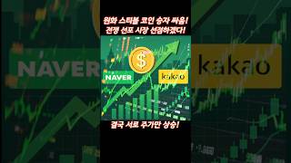NAVER 네이버 원화 스테이블 코인 도입, 네이버페이 박상진 대표 청사진 공개 카카오페이와 경쟁하며 디지털 허브로 도약 #네이버주가 #네이버 #카카오페이