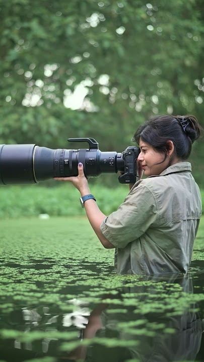 Letβs take a sneak peek at the life of water birds πΈπ