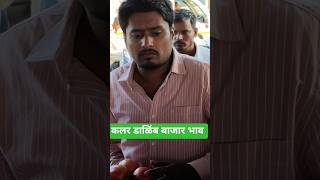 सलपर डळब बजर भव