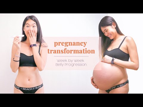 Pregnancy Transformation - Week by Week Pregnant Belly Progression