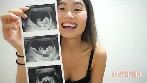 Pregnancy Transformation - Week by Week Pregnant Belly Progression