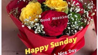 Rinky Lifestyle is live  Happy sunday my dear friends 🙏💞💞