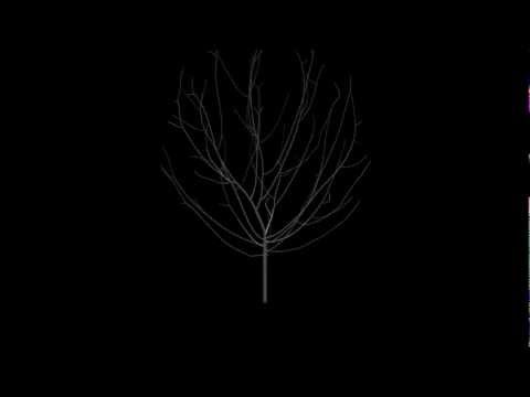 Renderman - Space Colonization Tree