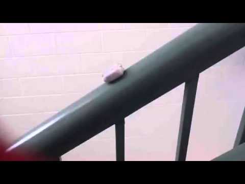 DSB's video