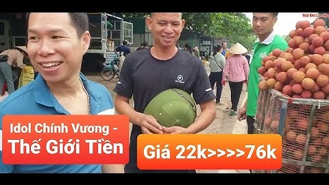 CẬP NHẬT GIÁ VẢI LỤC NGẠN CUỐI VỤ - ÍT VẢI KHÔNG CÓ VẢI MUA I NÚI ĐỒI LỤC NGẠN