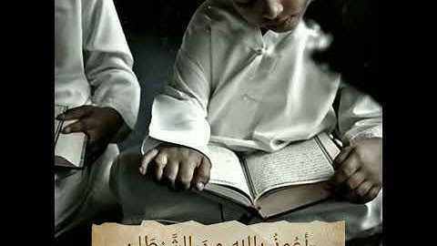 اجمل تقليد للقارئ |عبدالرحمن مسعد #عبدالرحمن_مسعد