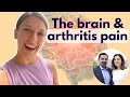 Pain and the BRAIN how to keep it healthy to help arthritis pain The Brain Docs