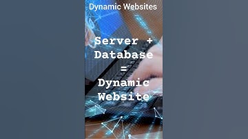 Dynamic Websites Explained | Web Development Basics