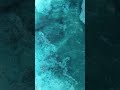 Deep Sky Object Hidden in the Ocean #shorts