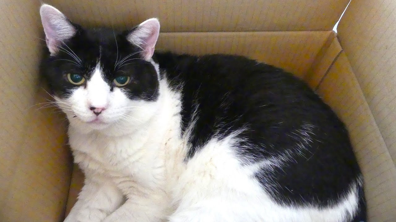 視力が弱いクウタくんです