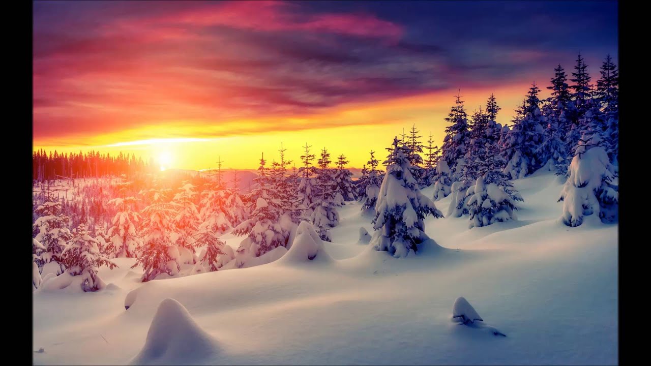 Discovery - Marco Zannone