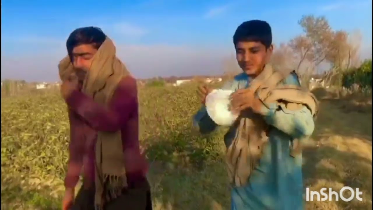 Terpar ghala bia anjam 😂 part 1 sawabi Vines 6 ❤️