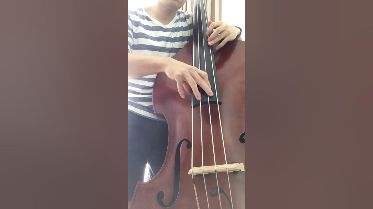 Pirastro Evah Pirazzi Slap double bass strings YouTube