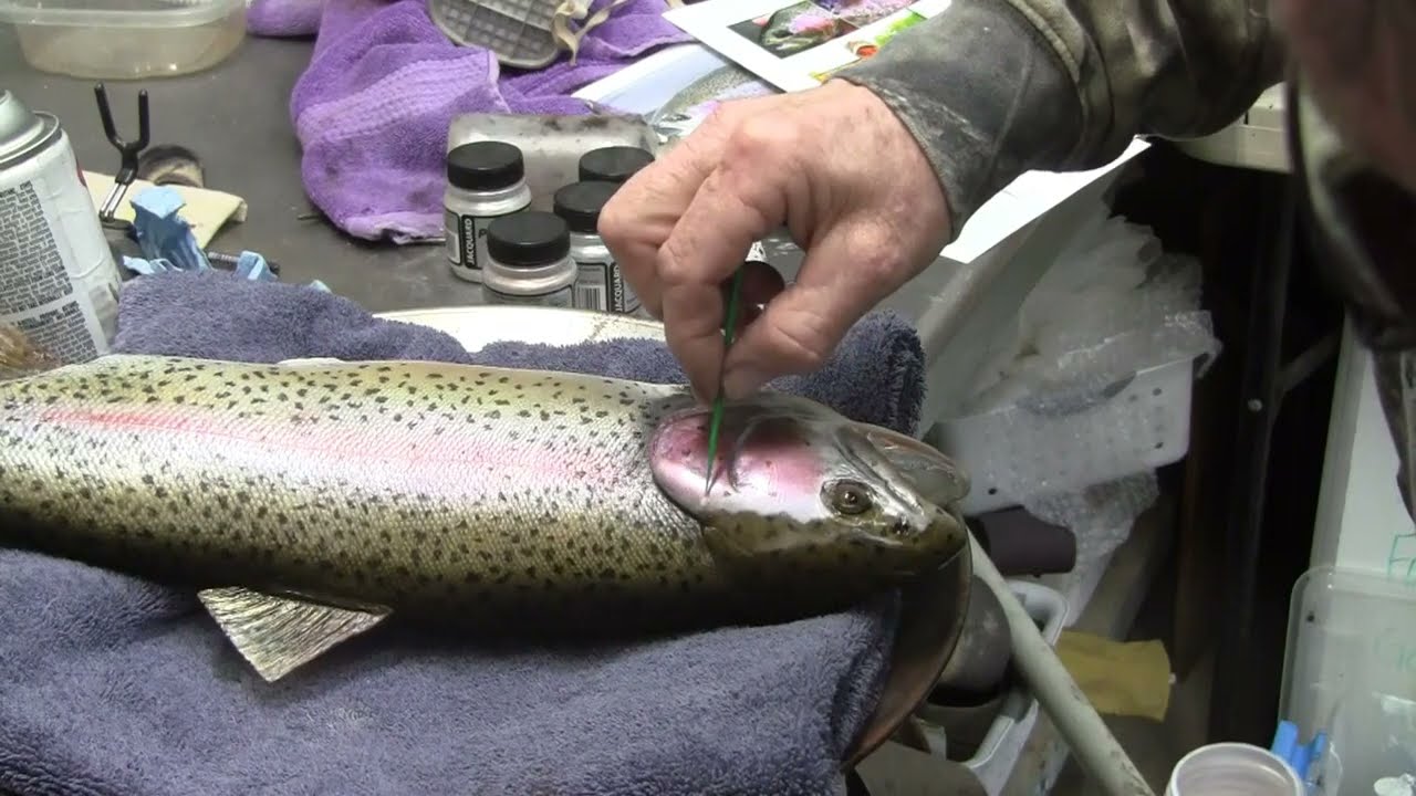 Fall River Trout Reproduction