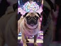 Notorious P.U.G in the house #aivideo