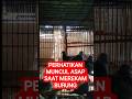 #sindanghayu #burung #shortvideos #martinbirdshop #viralvideos