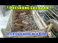 Hindi magastos at sobrang presko sa mga biik  diy crib for new born piglets  happyfarming