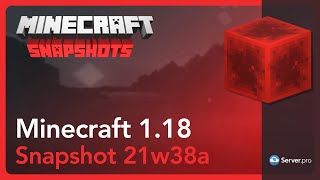 Minecraft Snapshot 21W38A - Server.pro