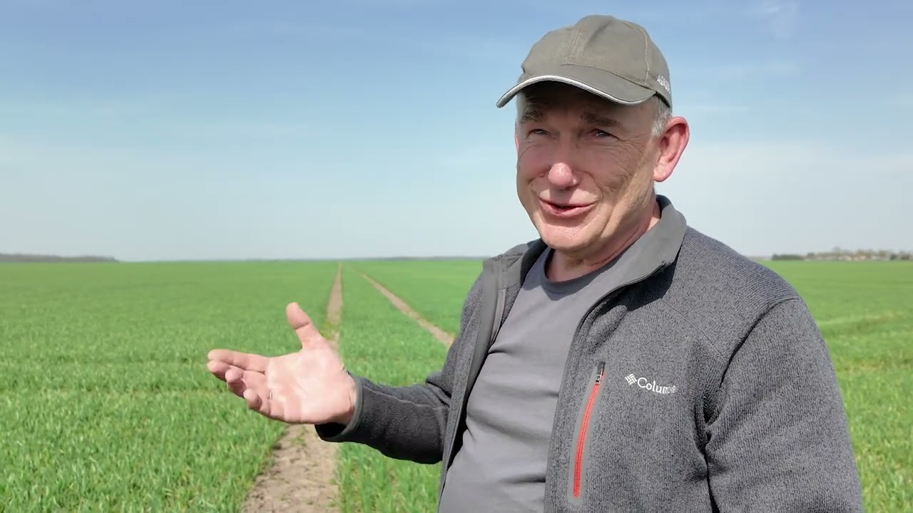 Žieminių kviečių laukai ir teisingo veikimo mišiniai augalų apsaugai