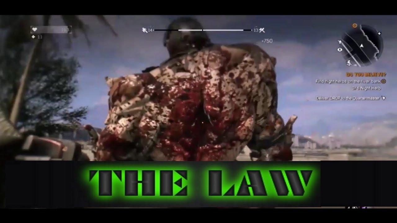 Dying Light - Awesome Kill Montage!