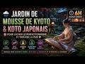 🌧️ Jardin de Mousse de Kyoto & Koto Japonais pour Lâcher le Perfectionnisme et Trouver la Paix