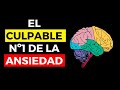 Reprograma el cerebro ansioso 🧠 (Domina tu mente)