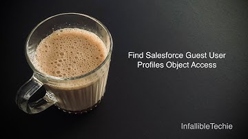 Find Salesforce Guest User Profiles Object Access