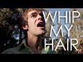I Used to Whip My Hair (Parody)