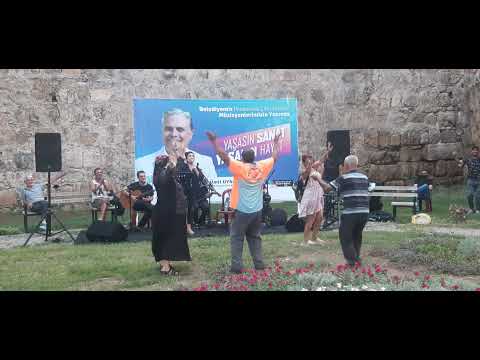 Bahçe duvarını aştım