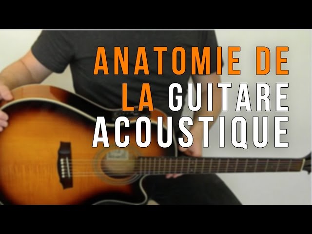 Anatomie De La Guitare Acoustique