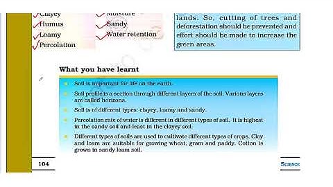 CBSE/NCERT/Class 7th/ Science/ Chapter 9/ Soil/ Part 4