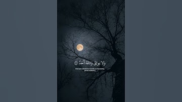 (يقول يا ليتني قدمت لحياتي)_القارئ رعد الكردي❤️🎧