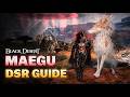 Best Maegu Succession PvE Combo &amp; Addons for Darkseekers' Retreat | Black Desert