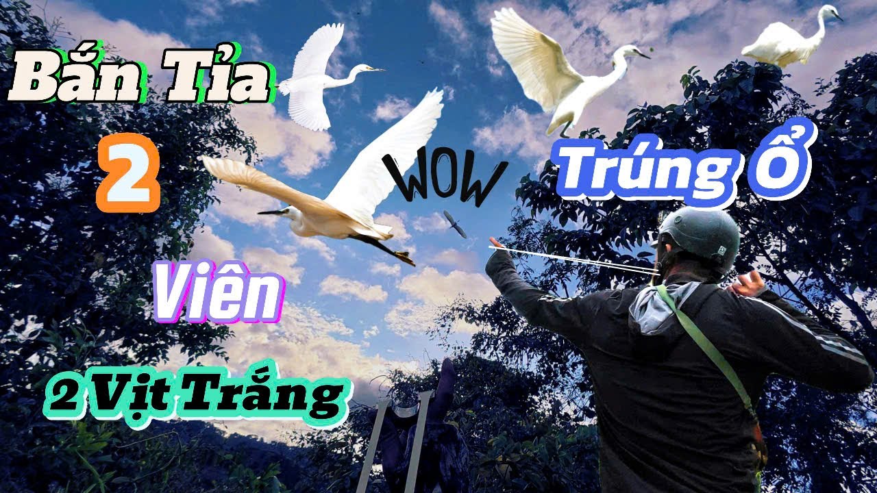 Trổ Tài Bắn Ná Cao Su Kiếm Mồi-Bông Đạn Là Rớt Toàn Hàng Cả Kg Về Lai Rai Cơm Chiều || SangSlingShot