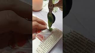 Bullet journaling to make a daily planner to-do list Bullet journaling to make a daily planner to-do list