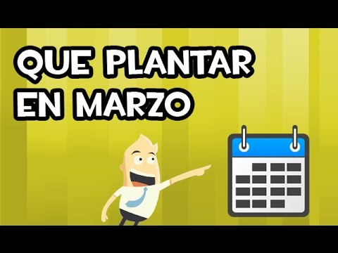 Que SEMBRAR y PLANTAR en MARZO | Calendario de Siembra