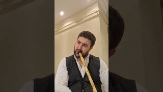 Semicenk - Onlar Anlamaz Halden Ney Kısmı Resimi