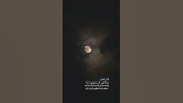 وَبِالْأَسْحَارِ هُمْ يَسْتَغْفِرُونَ -تلاوة مريحة بصوت القارئ ياسر الدوسري #قران #اجر #story