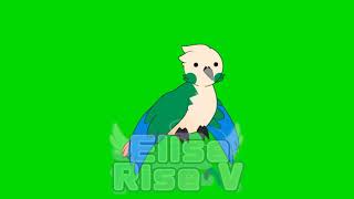 - Bird Flying test -