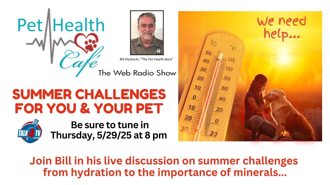 Summer Challenges