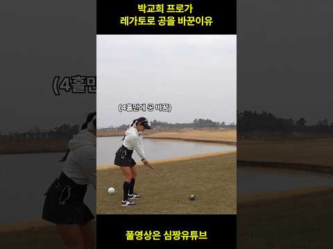 박교희프로와 필드 촬영 중, 드라이버 비거리 차이가 계속 났다. 4번홀부터 레가토공으로 교체, <strong>티샷이</strong> 확실히 더 멀리 날아갔다. #레가토골프공 #박교희프로
